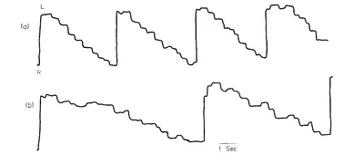  "trajectoires visuelle d'une personne non-dyslexique. Les lignes horizontales représentent une fixation sur un point, les lignes verticales représentent des mouvements en avant ou arrière dans le texte. Le graphique présente une forme de série d'escaliers vus de coté, assez réguliers"