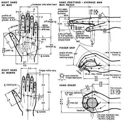 Tiré de La Mesure de l'homme, par Henry Dreyfuss (un des fondateurs de l'ergonomie scientifique " 